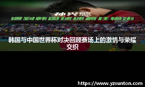 智博19有限公司